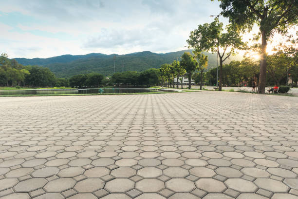 Best Driveway Pavers for Homes  in Cibecue, AZ
